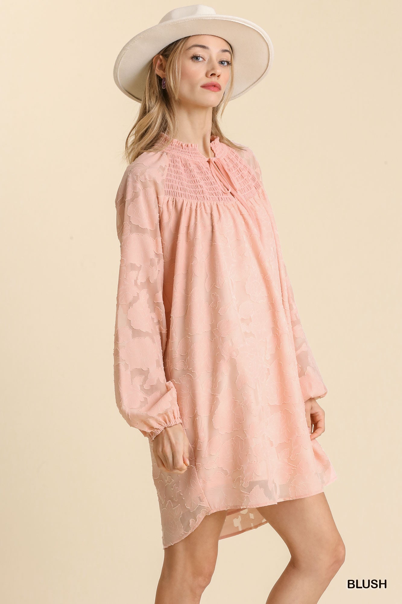 Jacquard Raglan Smocked Tie Neck Yoke Dress-Product Type | Naughty Smile Fashion