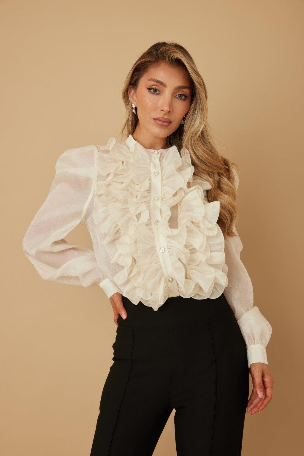 Ruffle Micro Crystal Long Sleeve Blouse-Product Type | Naughty Smile Fashion