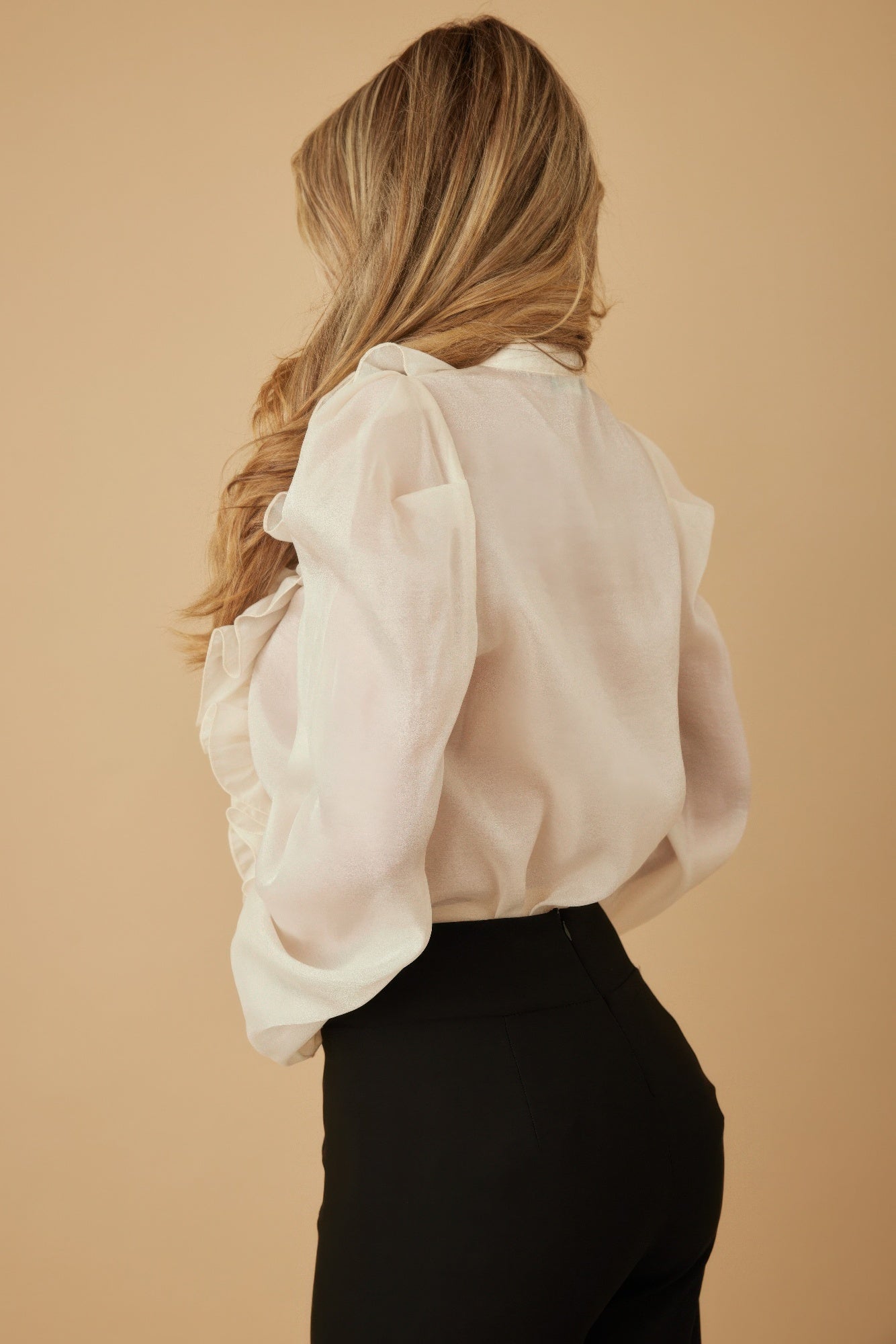 Ruffle Micro Crystal Long Sleeve Blouse-Product Type | Naughty Smile Fashion